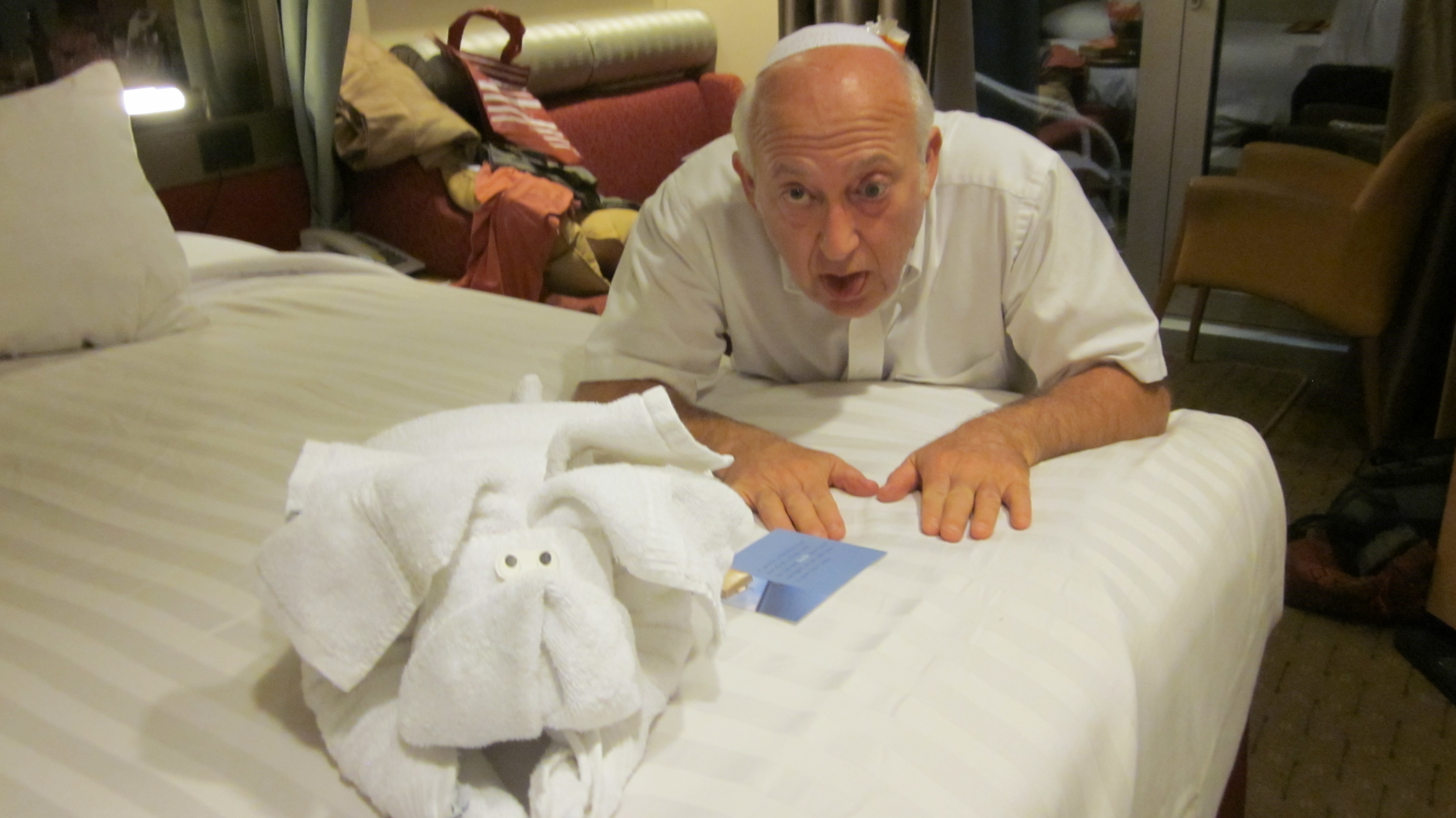 Mike and the Towel Animal
