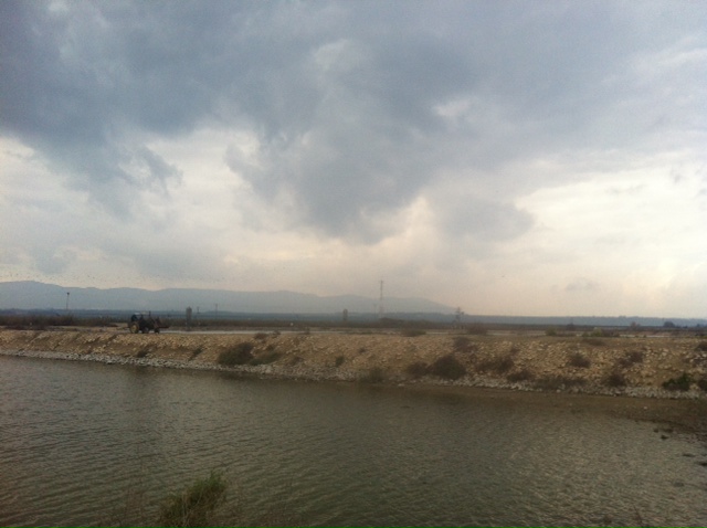By the side of the fishpond-the Gilboa Mountains off in the distance